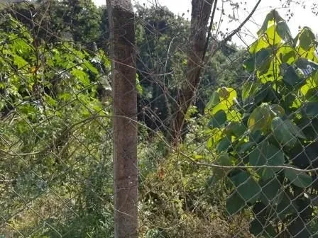 Terreno - Jaraguá, São Paulo