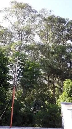 Casa - Perus, São Paulo