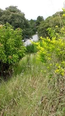 Terreno - Laranjeiras, Caieiras