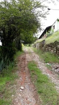 Terreno - Laranjeiras, Caieiras
