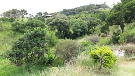 Terreno - Laranjeiras, Caieiras