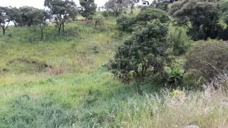 Terreno - Laranjeiras, Caieiras
