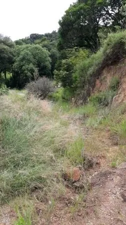 Terreno - Laranjeiras, Caieiras