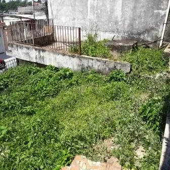 Terreno - Perus, São Paulo