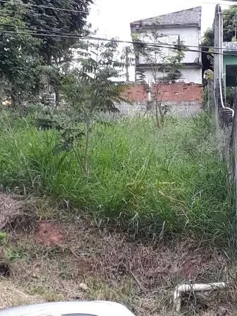 Terreno - Perus, São Paulo