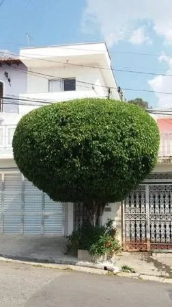 Casa - Jaraguá, São Paulo