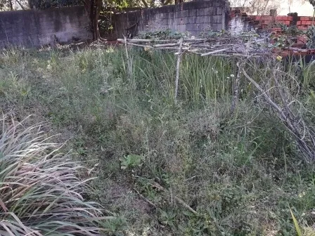 Casa - Perus, São Paulo