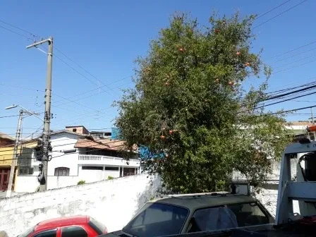 Casa - Perus, São Paulo