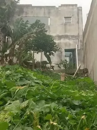 Casa - Perus, São Paulo