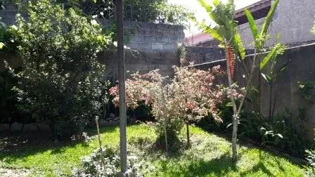 Casa - Perus, São Paulo