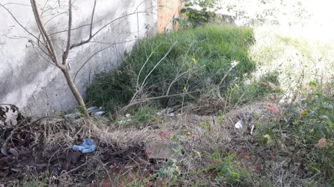 Terreno - Perus, São Paulo