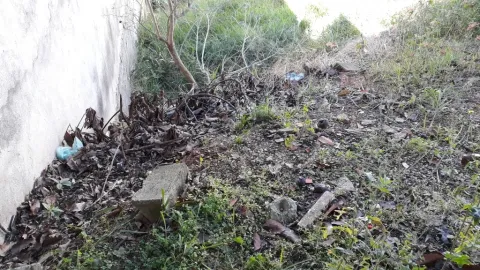 Terreno - Perus, São Paulo
