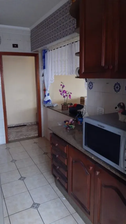 Apartamento - Pirituba, São Paulo