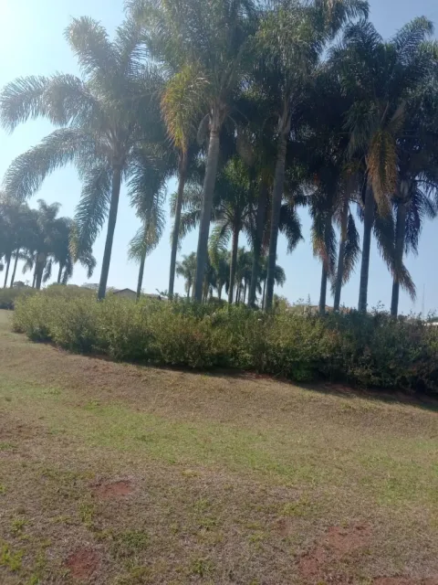 Terreno para vender em Ninho verde II - Eco Residence