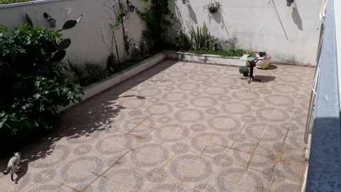 Casa - Perus, São Paulo