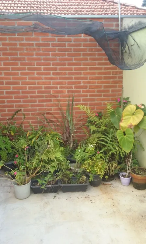 Casa para vender em Perus