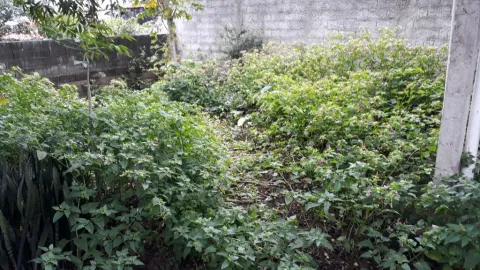 Casa para vender em Perus