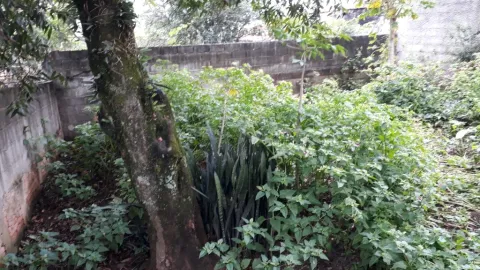 Casa para vender em Perus