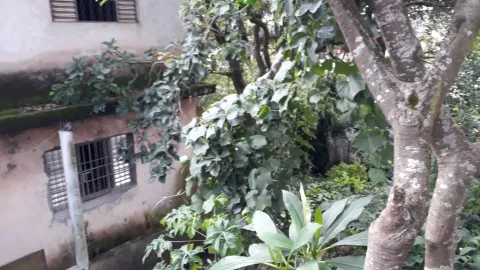 Casa - Perus, São Paulo