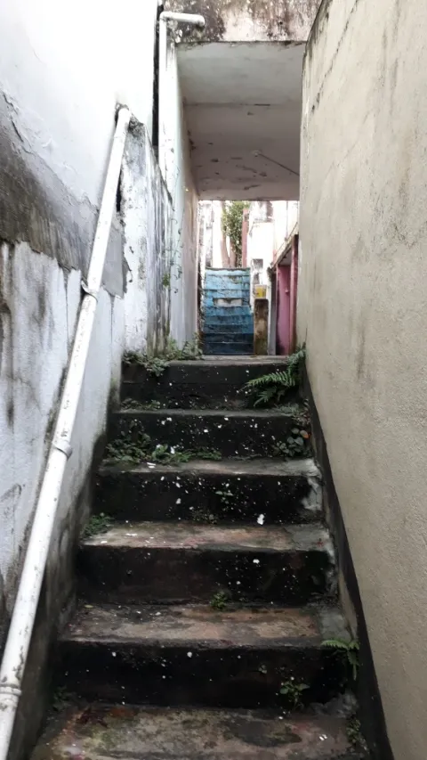 Terreno - Perus, São Paulo