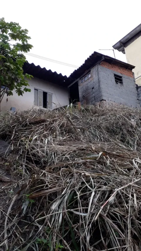 Casa - Perus, São Paulo