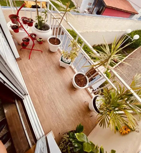Casa - Vila Nova Cachoeirinha, São Paulo