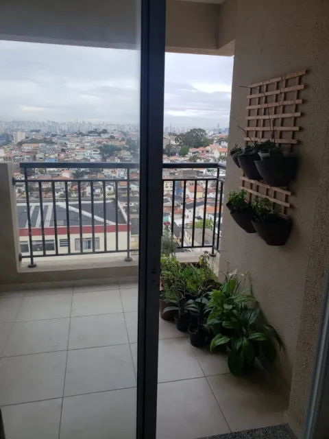 Apartamento - Vila Bonilha - Pirituba, São Paulo