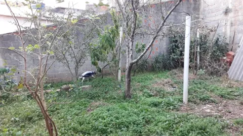 Casa - Perus, São Paulo