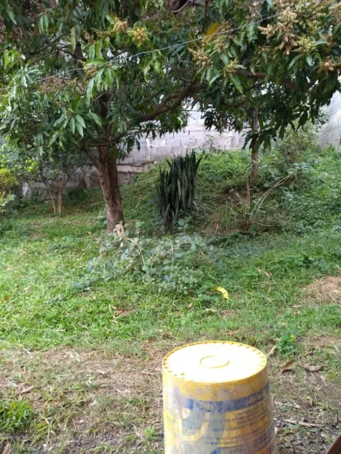 Casa - Serpa - Caieiras, Caieiras
