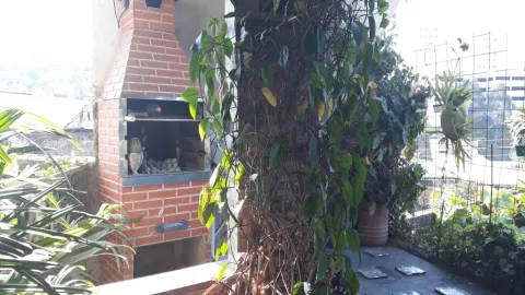 Casa - Perus, São Paulo
