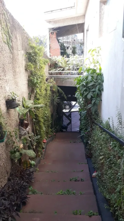 Casa - Perus, São Paulo