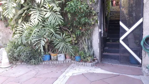 Casa - Perus, São Paulo