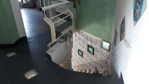 Casa - Perus, São Paulo