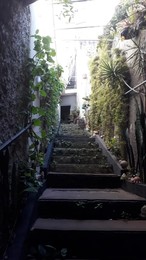 Casa - Perus, São Paulo