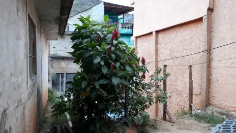 Casa - Laranjeiras, Caieiras