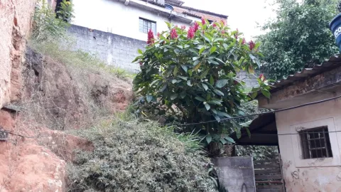 Casa - Laranjeiras, Caieiras