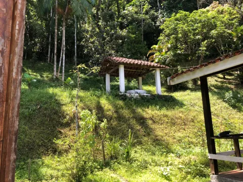 Sítio para vender em Ribeirão de Júlio