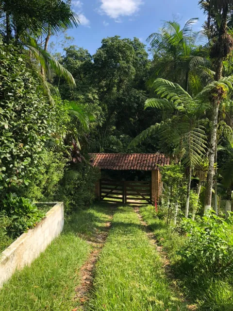 Sítio para vender em Ribeirão de Júlio