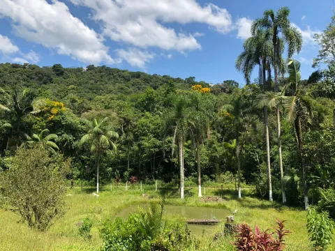 Sítio para vender em Ribeirão de Júlio