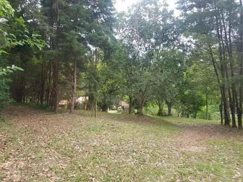 Terreno - Perus, São Paulo