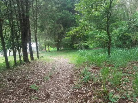 Terreno - Perus, São Paulo