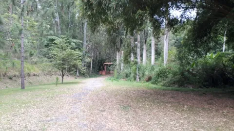 Terreno - Perus, São Paulo