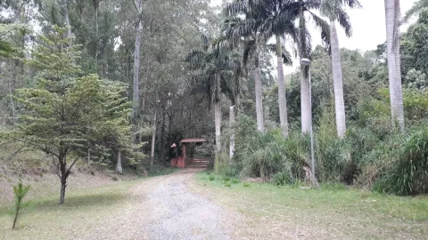 Terreno - Perus, São Paulo