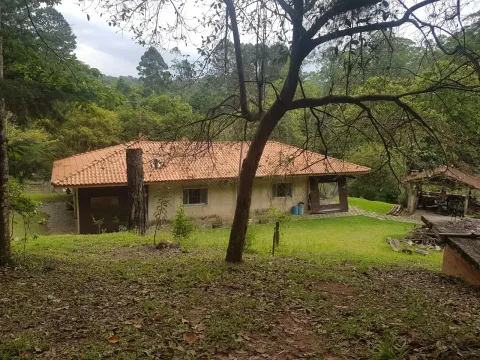 Terreno - Perus, São Paulo