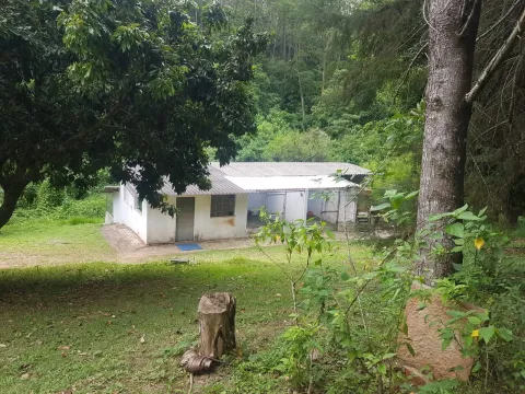 Terreno - Perus, São Paulo