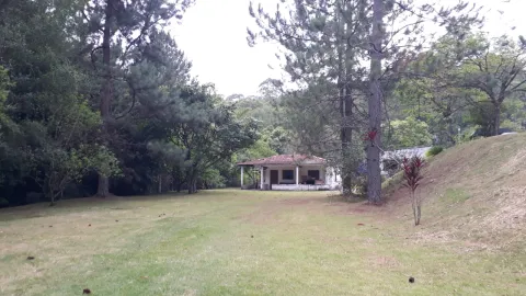 Terreno - Perus, São Paulo