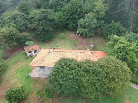 Terreno - Perus, São Paulo