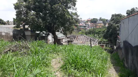 Terreno - Perus, São Paulo