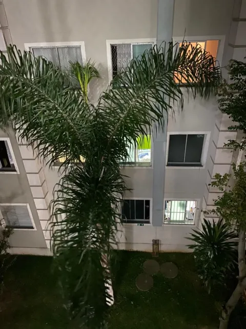 Apartamento - City Jaraguá, São Paulo