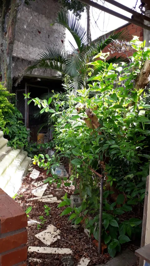Casa - Perus, São Paulo